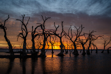 sunset over the river
