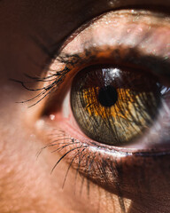 Macro close up of an eye