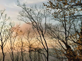Tramonto sui monti e le colline dell’Appennino visto da dietro ai rami degli alberi 
