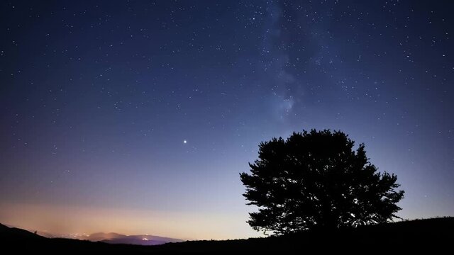 Time lapse shot of silhouette big tree under a blue starry sky in Varco Sabino, Italy