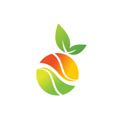 Vector Illustration of Circle Fruit and green Leaf Sign