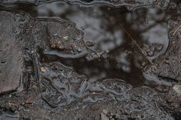 rainy day mud season in the forest