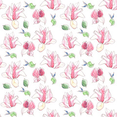 Seamless pattern with watercolor spring magnolia flowers on white background