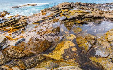 Tide Pools on Lava Formations, Makaluapuna Point, Kapalua, Maui, Hawaii, USA