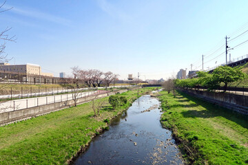 Fototapeta na wymiar 空堀川の桜