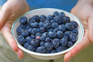 Hands Offering a Bowl Full of Fresh, Ripe Blueberries