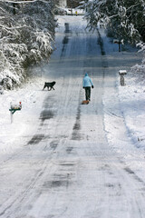 A Girl Pulls Her Sled Up a Steep, Snowy Road Accompanied By Her Dog