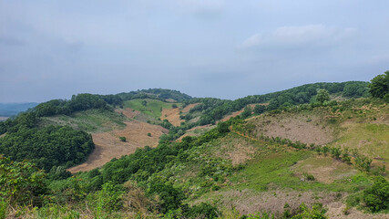 Naklejka premium view from the hill