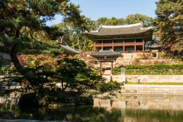 Fototapeta na wymiar Pond in the courtyard of the Changdeokgung Palace in Seoul, South Korea