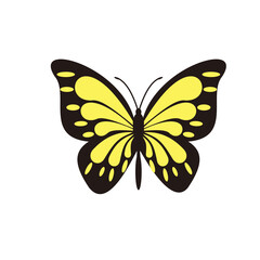 Butterfly vector icon illustration sign