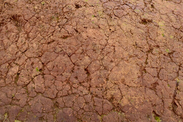 Red Clay walls texture for background