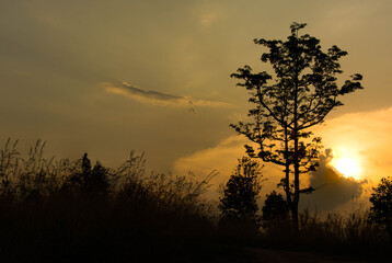 Landscape near darkness against light.