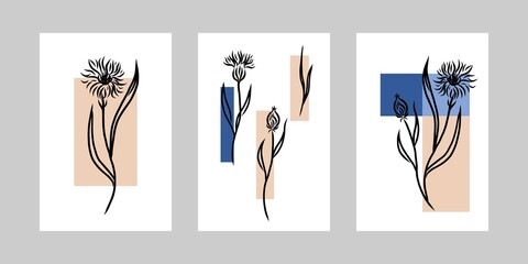 Fototapeta na wymiar Cornflower minimal poster set. Hand drawn line black knapweed flowers and leaves with abstract shape. Herbal and meadow plant collection, modern wall art floral decor. Vector botanical collection