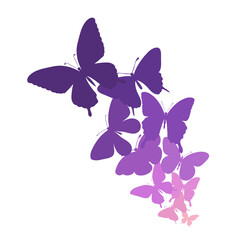 background with a border of butterflies flying © Hulinska Yevheniia