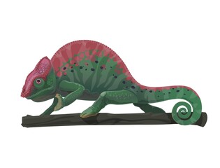 Chameleon lizard animal on tree branch vector design of cartoon reptile with green camouflage skin pattern, black and purple spots, curved tail, legs. Tropical jungle chameleon, exotic nature design