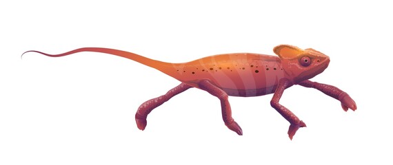Chameleon vector icon, cartoon lizard with red striped skin, long tail and telescopic eyes walking isolated on white background. Wild animal, pet reptile, exotic chameleon tropical predator creature © Vector Tradition