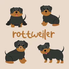 Fotobehang Set Character Animal In Various Poses Of Cute Rottweiler Dog Is Sitting, Sleep, and Jumping. Vector Illustration © denayune
