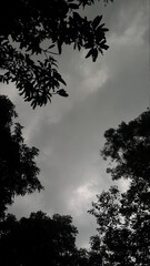 Dark Cloudy sky