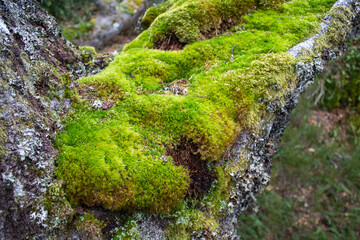 Magical place of giant stones and narrow passages in the mountain.