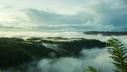 Nature background with fog on mountain. Countryside in early summer. enjoy sunrises and fog-covered mountains.