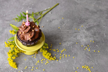 Composition with tasty chocolate cupcake on grunge background