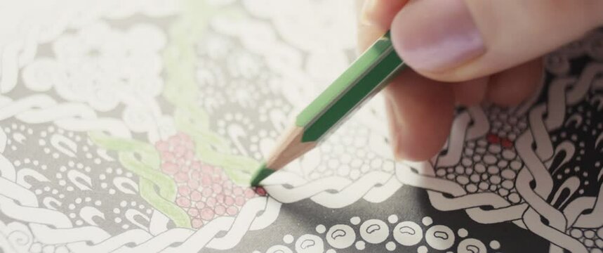 Green color pencil in female hands draw colour mandala macro close up