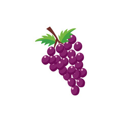 Bunch of purple grapes with green leaves, flat vector illustration isolated.