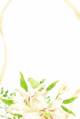 優しいタッチのカサブランカのイラスト