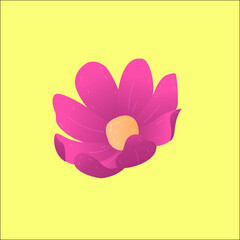 pink flower on a yellow background