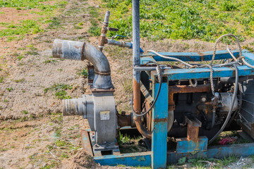 Marine inboard engine in blue frame on lawn on sunny day.