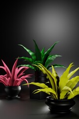 Fototapeta na wymiar Home plants with colored leaves on a dark background. Creative 3D illustration. Place for text