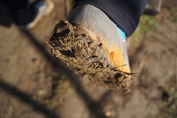 Detail of man dirty muddy hiking shoes during outdoor activity