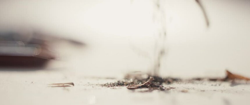 Shavings from pencil sharpener fall on paper isolated close up macro