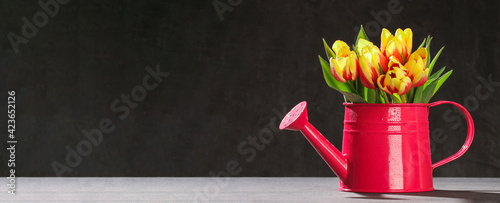 A bouquet of tulips as a gift for March 8, Mother's Day, Valentine's Day. Easter decor. Copy space. Flowers tulips on a black background. Banner