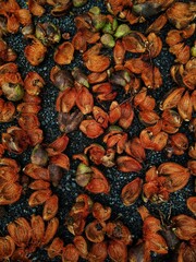 autumn leaves background