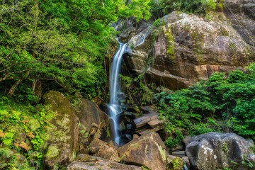 Todoroki Waterfall in Nago City, Okinawa, Japan.The height is about 91 ft.