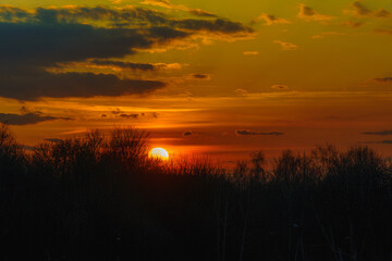 Obraz premium Zachód słońca nad drzewami