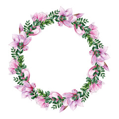 Obraz na płótnie Canvas Magnolia flower wreath. Watercolor illustration. Tender pink magnolia flowers and buxus leaves in round decoration. Elegant wreath from spring blossoms with green leaf. On white background