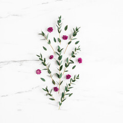 Flowers composition. Purple flowers and eucalyptus leaves on marble background. Flat lay, top view