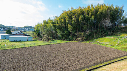 日本の春の農村風景