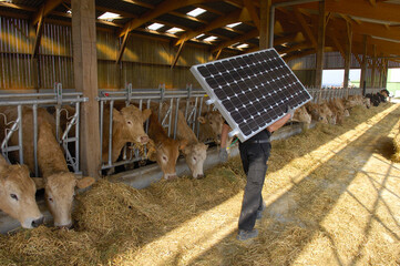 Pose de panneaux photovoltaiques sur le toit d'un batiment agricole récent. Ouvrier portant un...