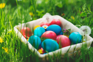 Fototapeta na wymiar Colorful Easter eggs in basket hidden in grass