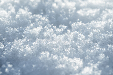 gros plan sur la neige