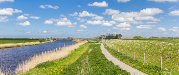 Panorama of a bicycle path along the Reitdiep river in the landscape near Groningen, Netherlands - obrazy, fototapety, plakaty