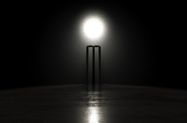 Futuristic Cricket Wickets