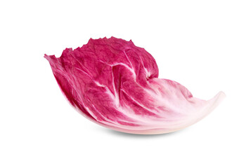 Radicchio leaf, red salad isolated on white