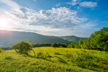 meadow covered with grass and bushes near trees on a background of mountains at sunrise. Landscape of summer mountains.