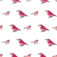 Vector white background various red birds seamless pattern. Purple Finch, Seamless pattern background