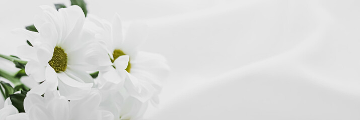 White daisy flowers on silk fabric as bridal flatlay background, wedding invitation and holiday...
