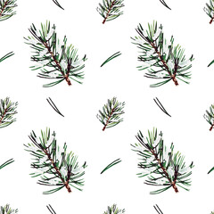 Pattern of coniferous branches and needles on a white background